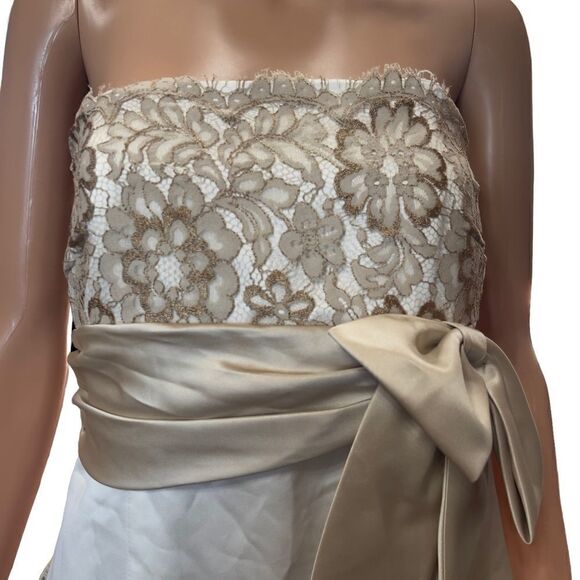 Nine 2 Nine Strapless Lace & Satin Long Gown Size 10 NWT - Picture 5 of 14